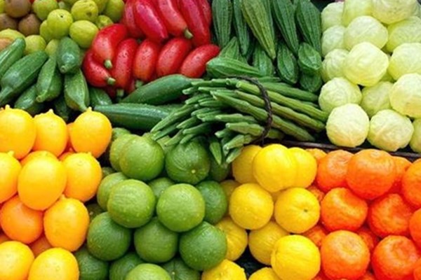 长沙蔬菜冷库和水果冷库方案